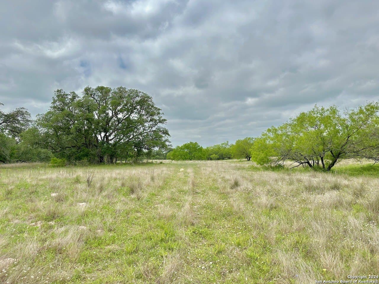 0 acres in Medina County - photo 24