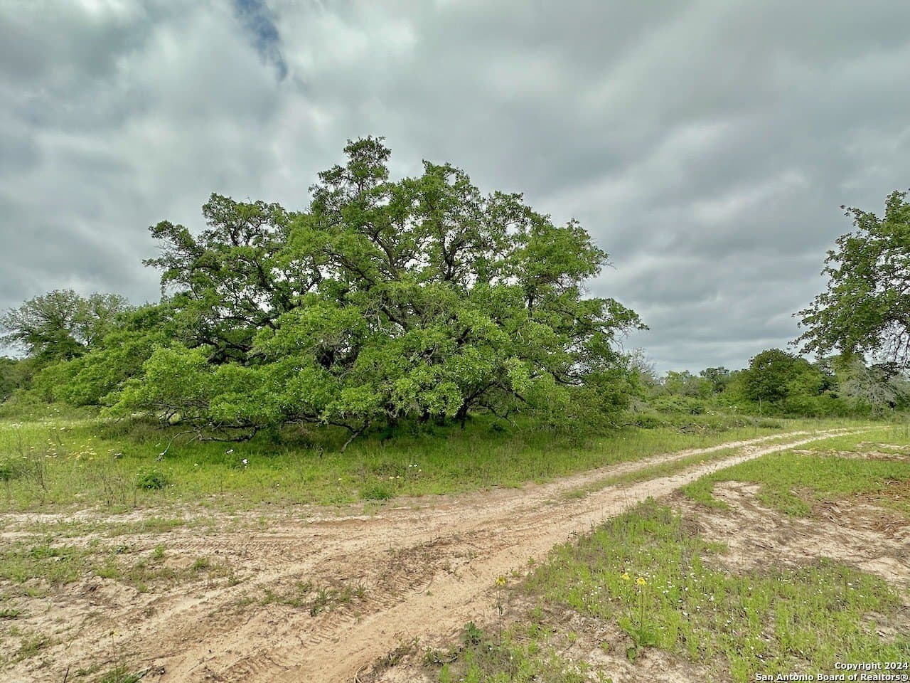 0 acres in Medina County - photo 20