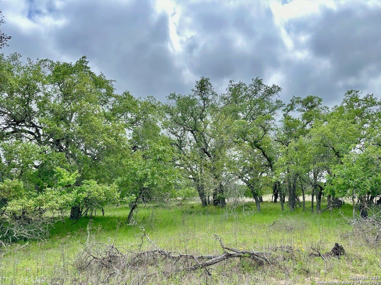 0 acres in Medina County - photo 26