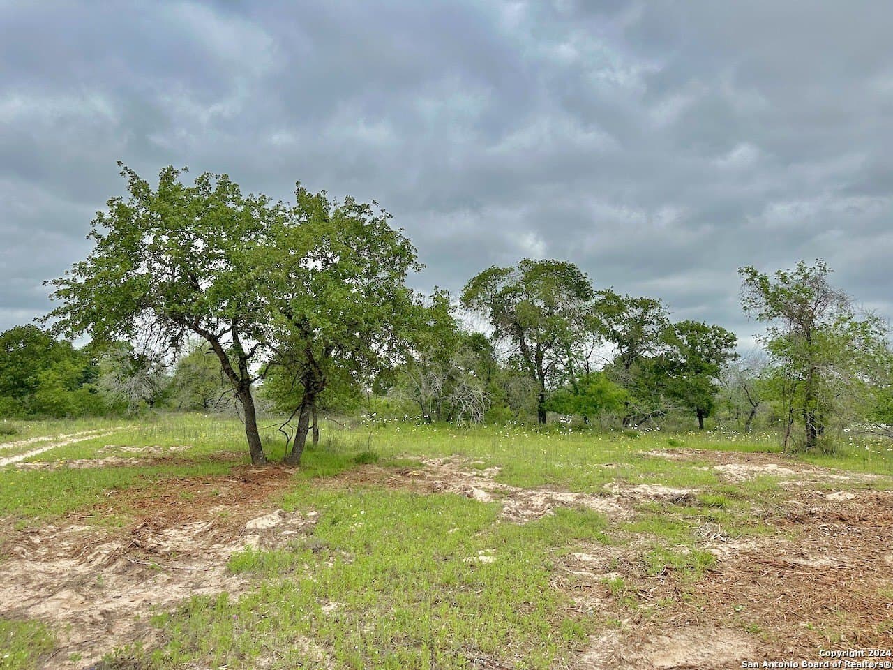 0 acres in Medina County - photo 19
