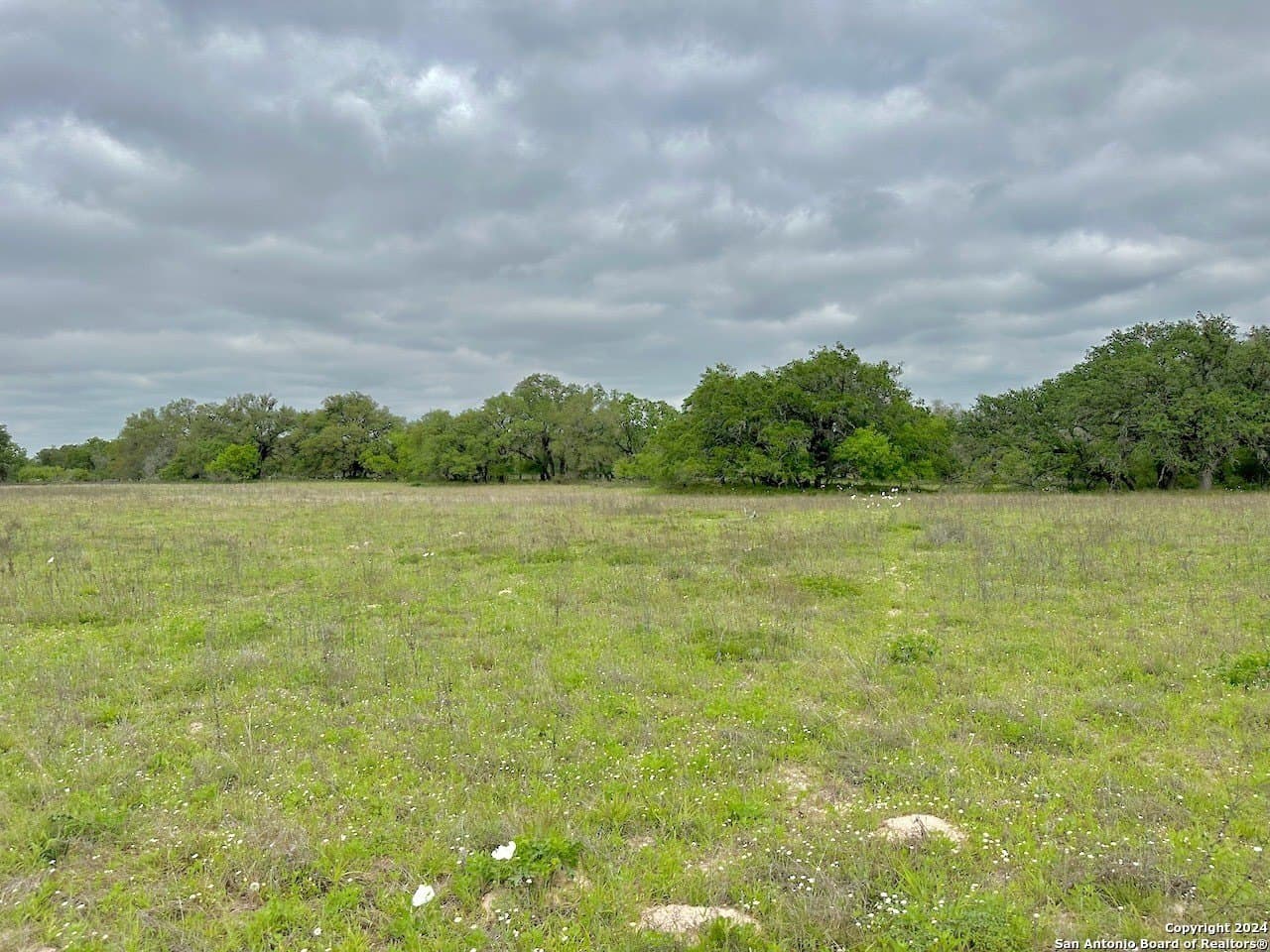 0 acres in Medina County - photo 27
