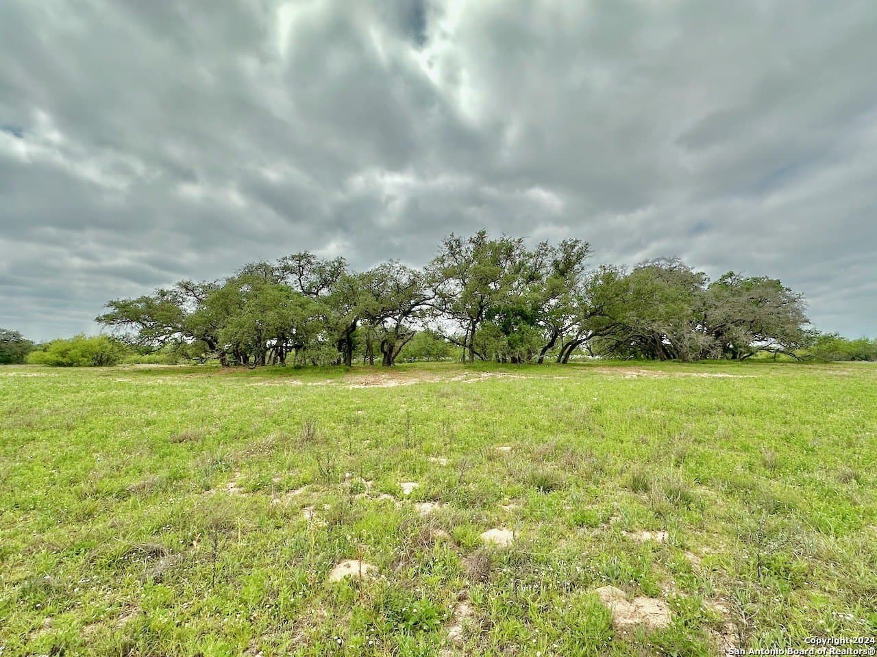 0 acres in Medina County - photo 18