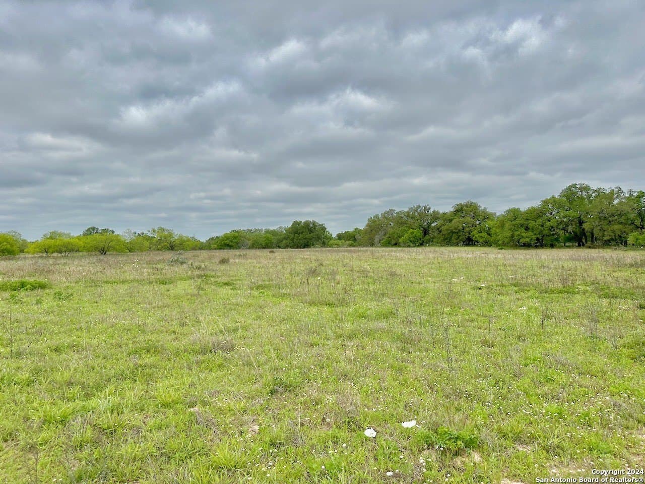 0 acres in Medina County - photo 31