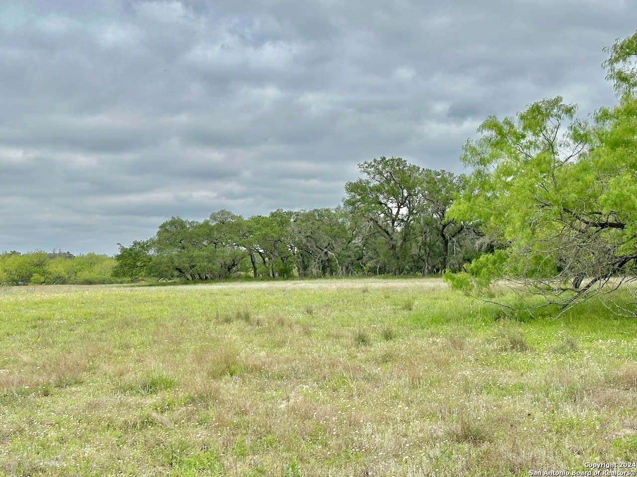0 acres in Medina County - photo 23