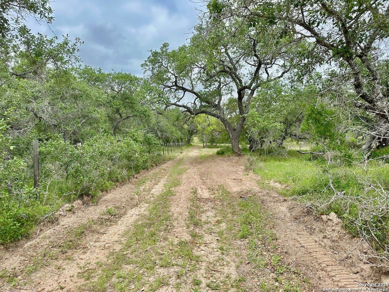0 acres in Medina County - photo 3