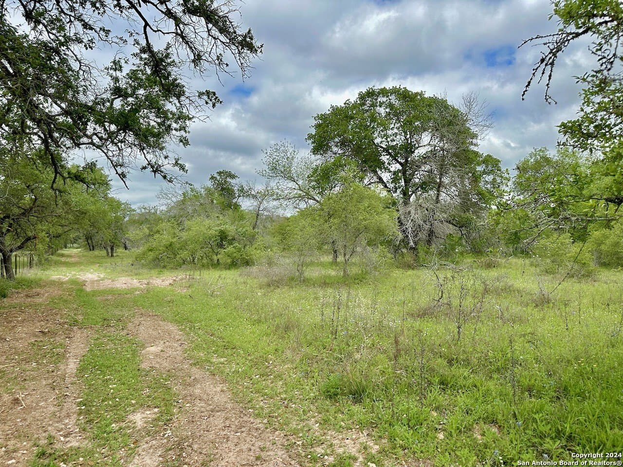 0 acres in Medina County - photo 28