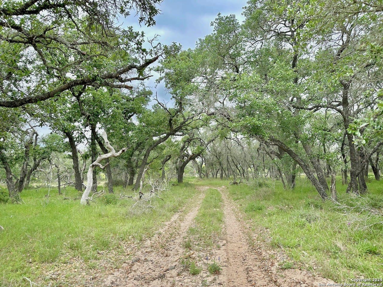 0 acres in Medina County - photo 21