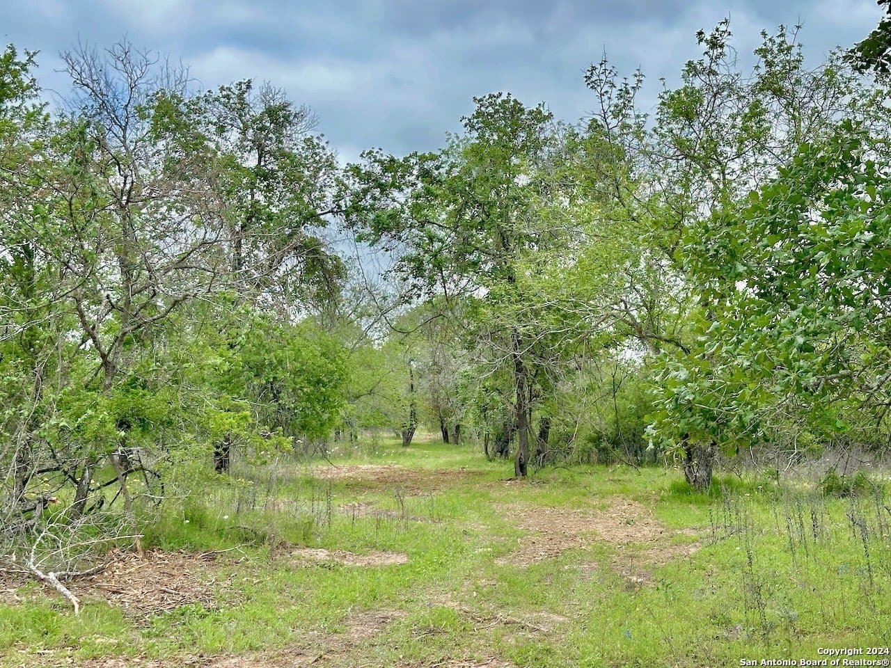 0 acres in Medina County - photo 25