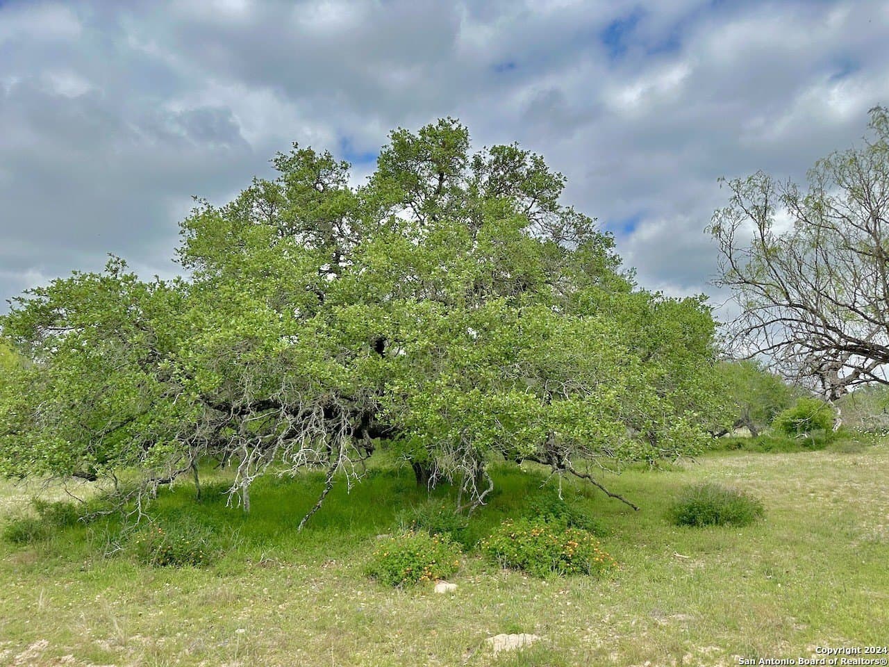 0 acres in Medina County - photo 30