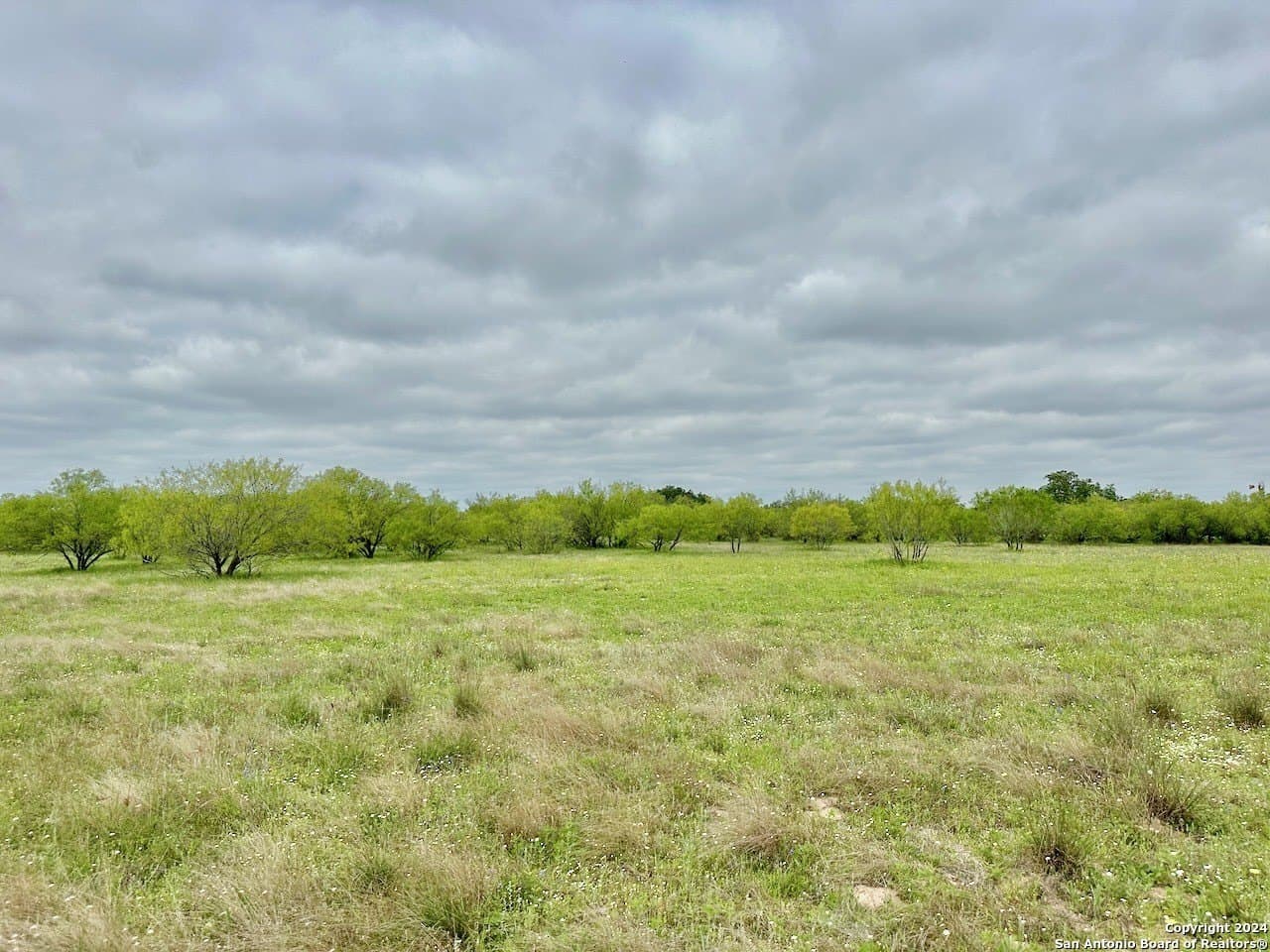 0 acres in Medina County - photo 22
