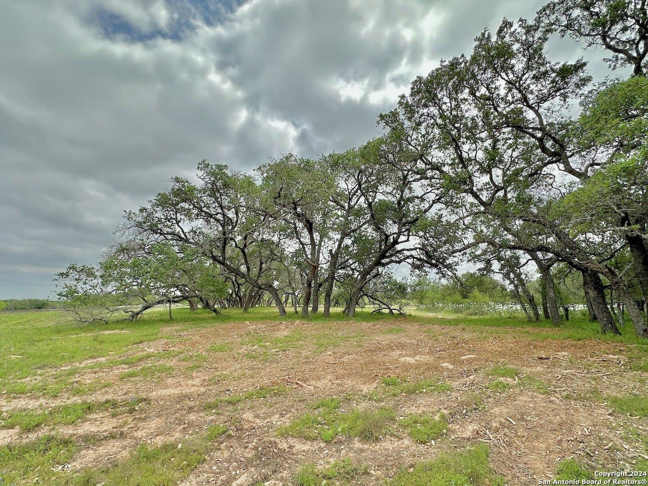 0 acres in Medina County - photo 17