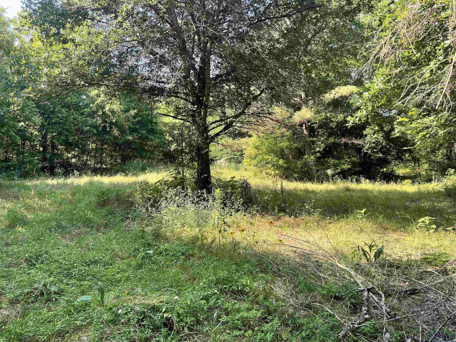 19.86 acres in Wood County - photo 3