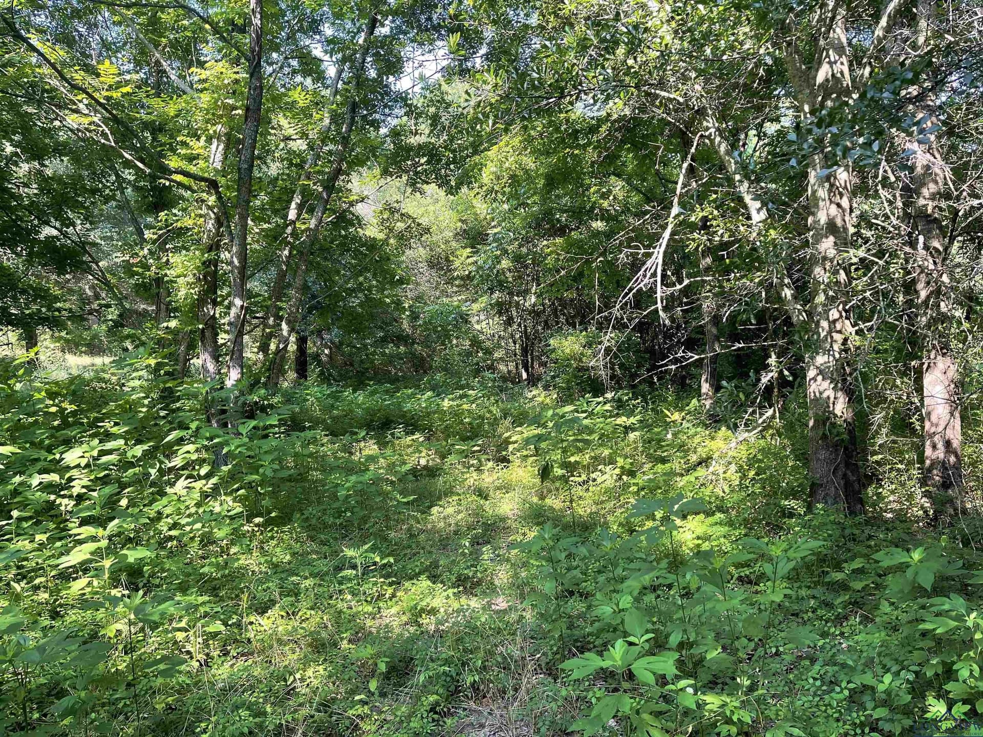 19.86 acres in Wood County - photo 6