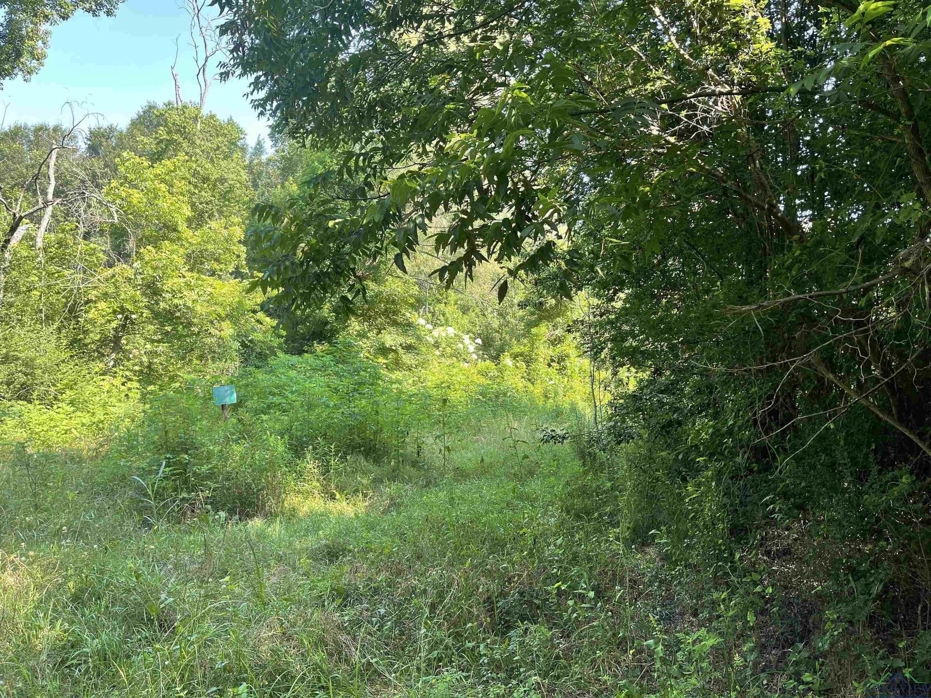 19.86 acres in Wood County - photo 7