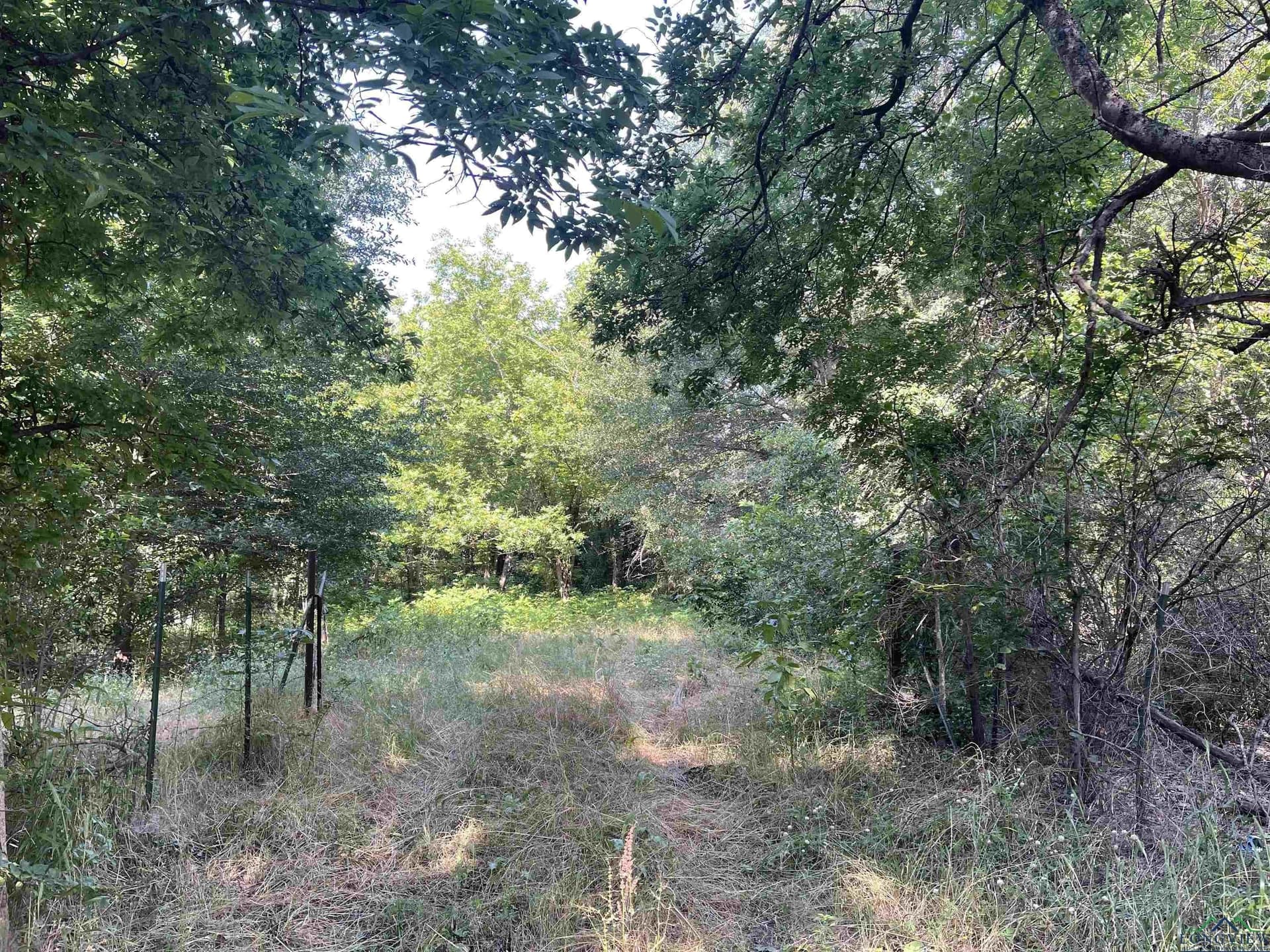 19.86 acres in Wood County - photo 5