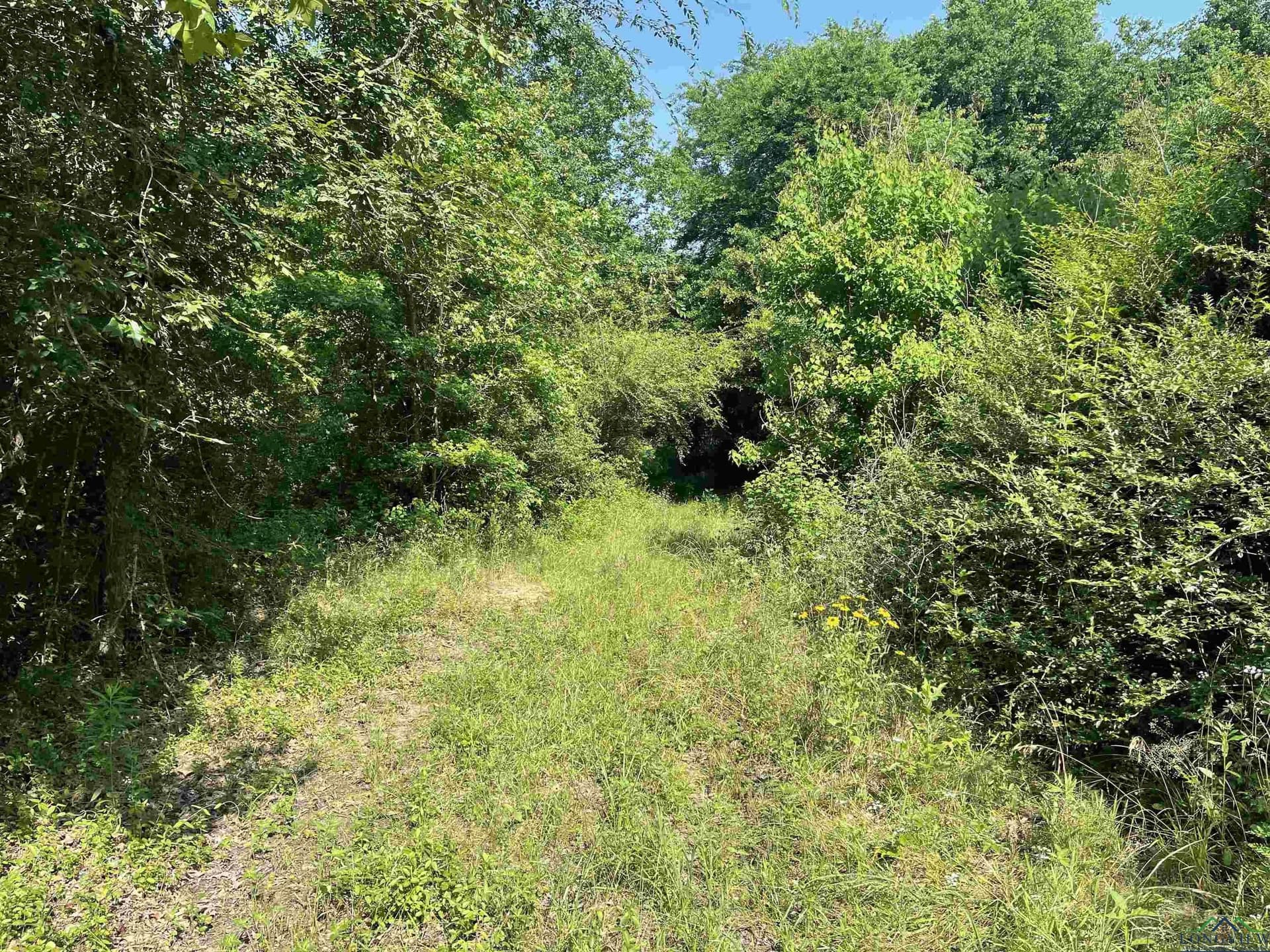 19.86 acres in Wood County - photo 4