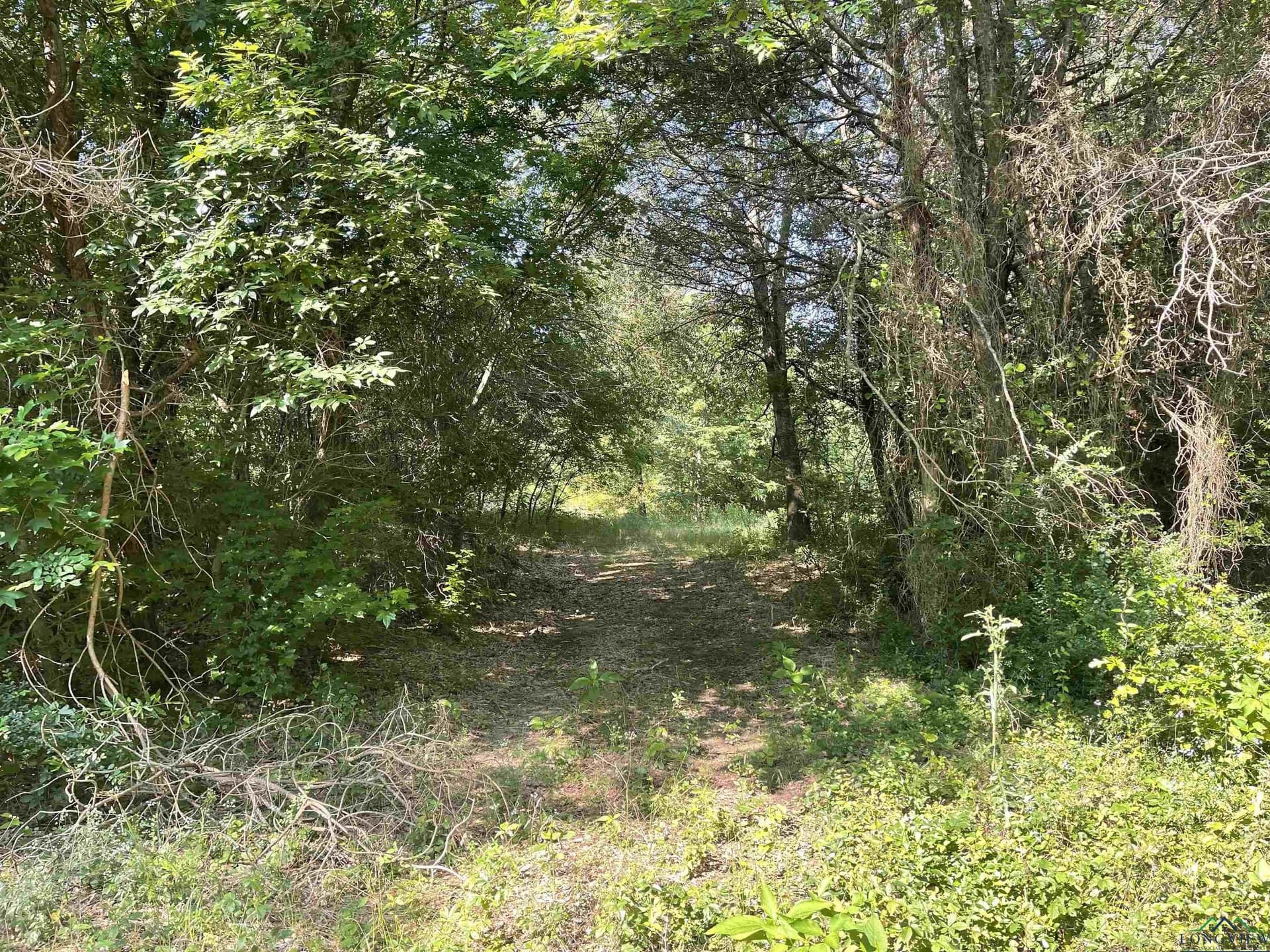 19.86 acres in Wood County - photo 2