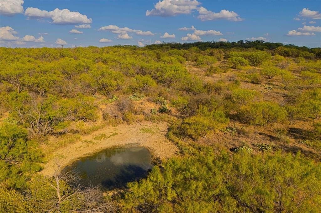 480.2 acres in Callahan County - photo 9