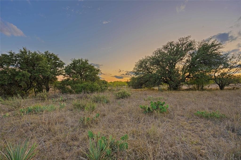 480.2 acres in Callahan County - photo 5