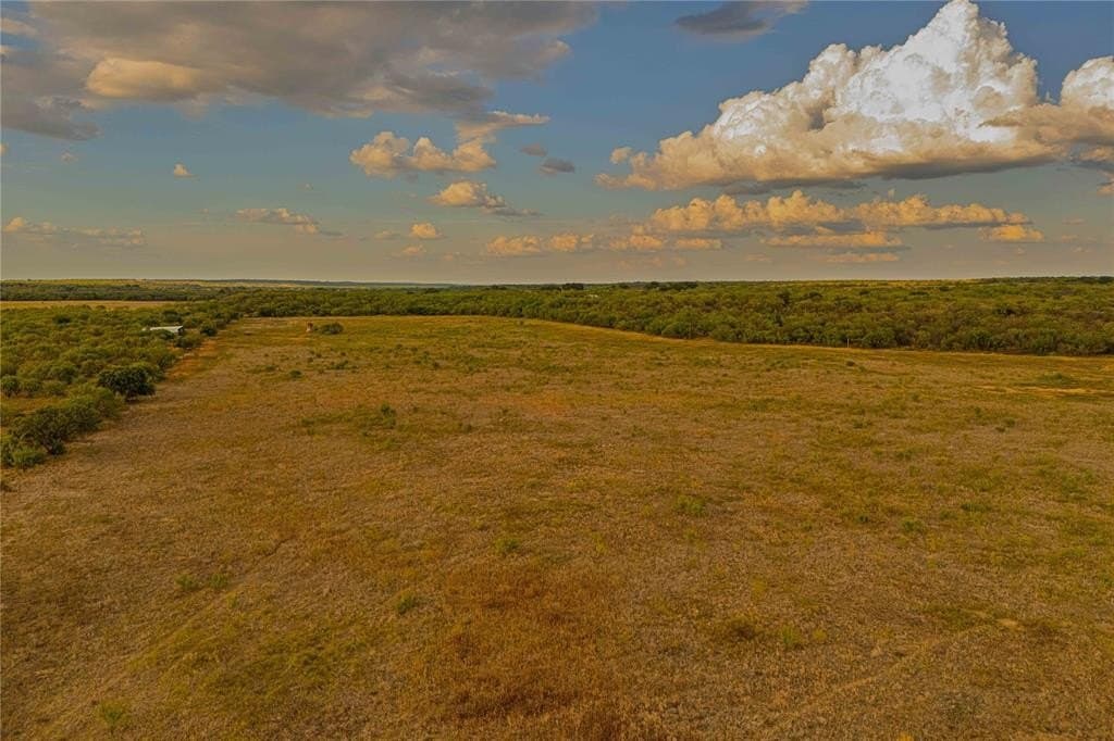 480.2 acres in Callahan County - photo 6
