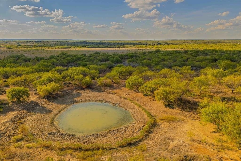 480.2 acres in Callahan County - photo 10