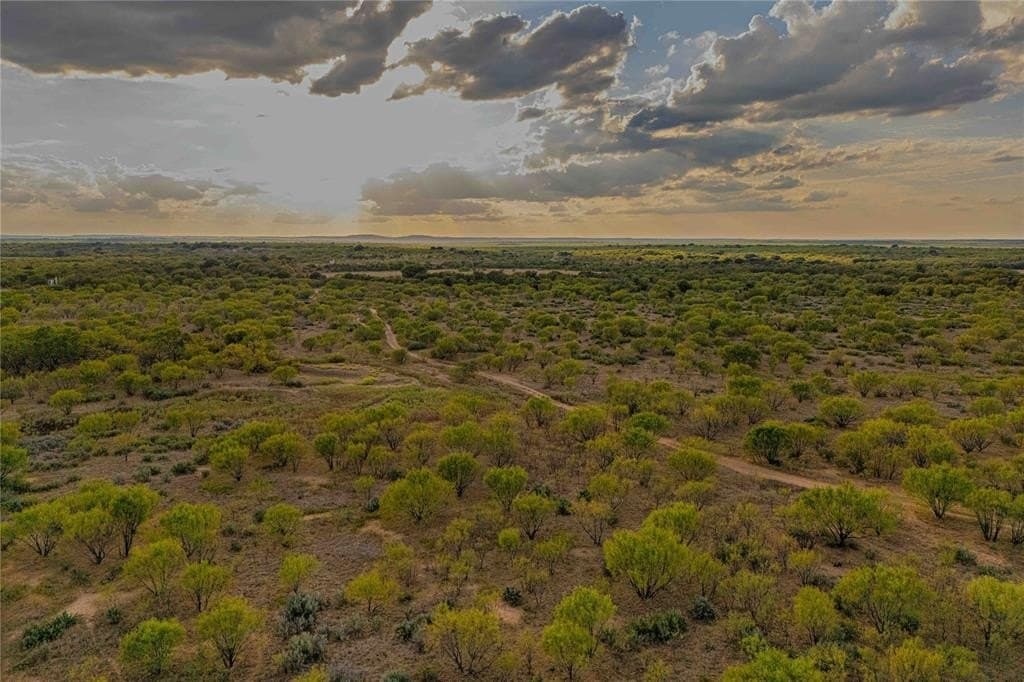 480.2 acres in Callahan County - photo 4
