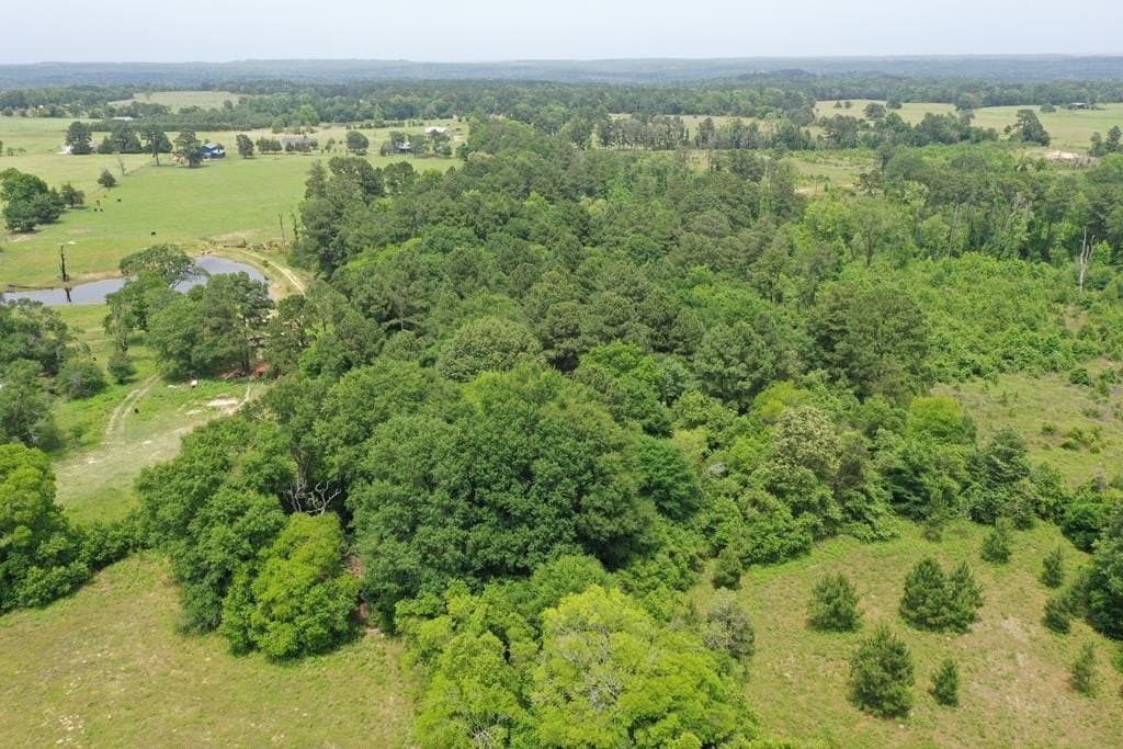 13.98 acres in ANDERSON County - photo 7