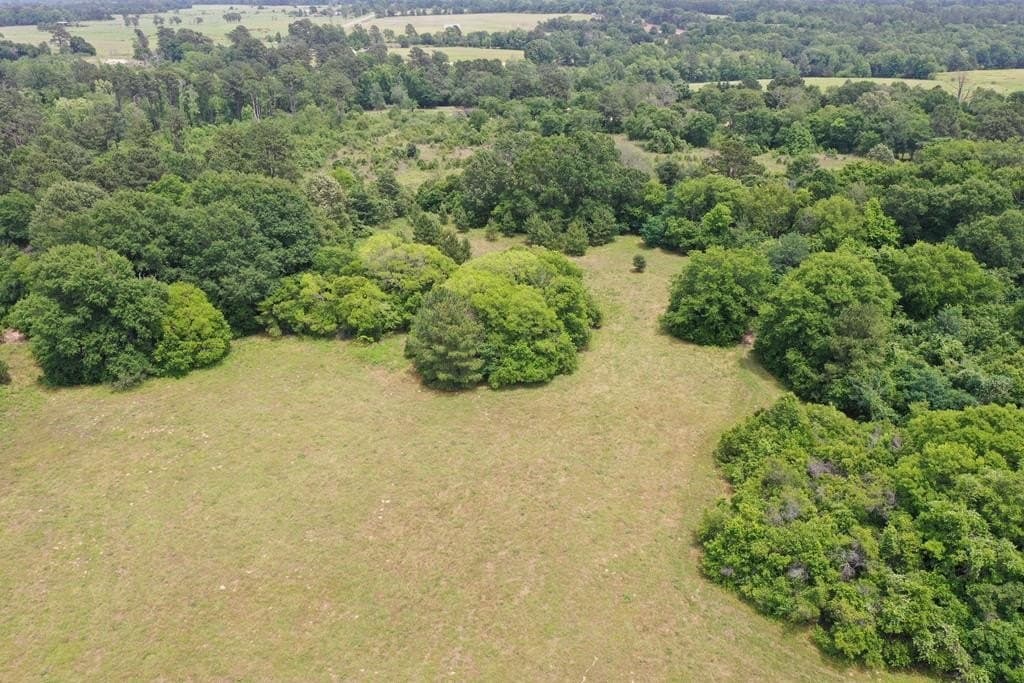 13.98 acres in ANDERSON County - photo 5
