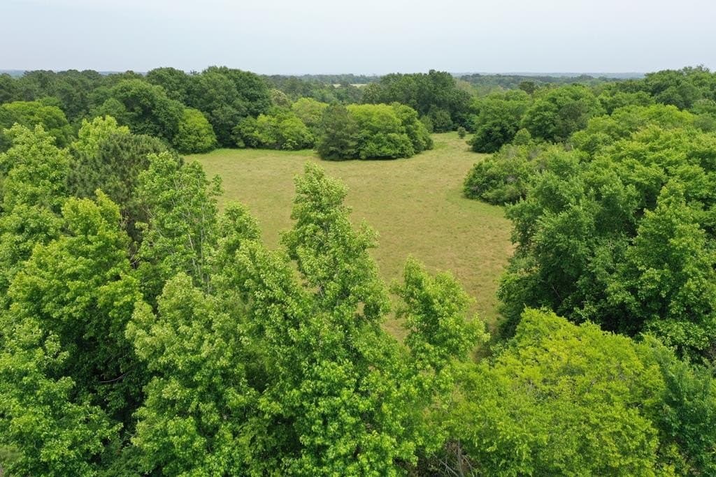 13.98 acres in ANDERSON County - photo 2