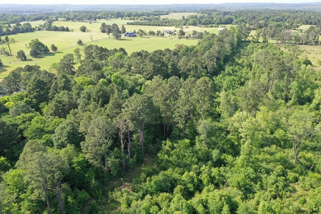 13.98 acres in ANDERSON County - photo 9