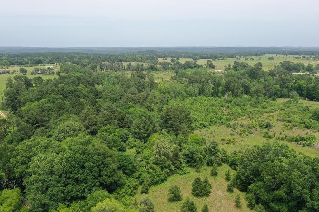 13.98 acres in ANDERSON County - photo 8