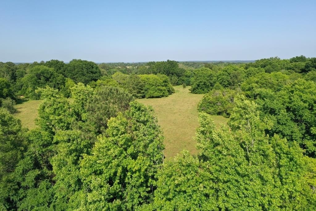 13.98 acres in ANDERSON County - photo 3