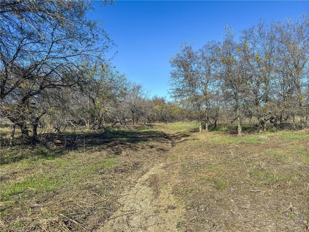 20 acres in McLennan County - photo 21