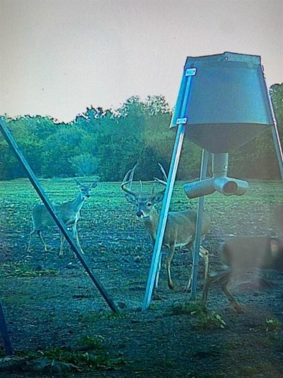 20 acres in McLennan County - photo 27