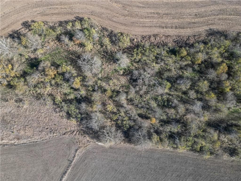 20 acres in McLennan County - photo 12