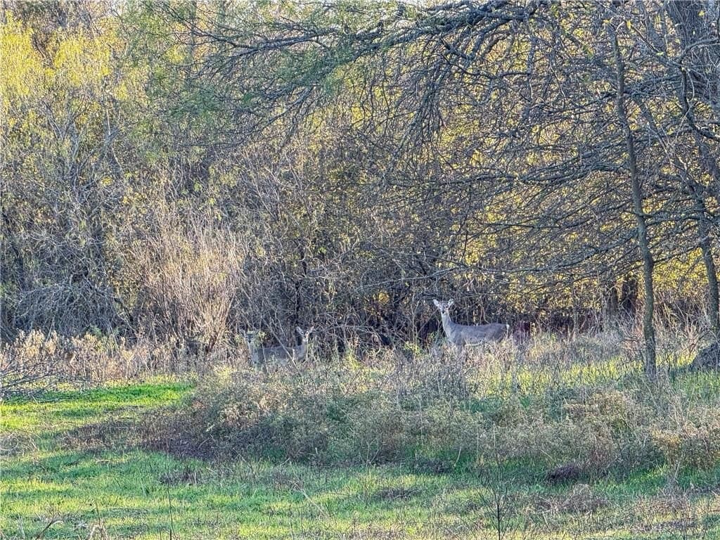 20 acres in McLennan County - photo 19