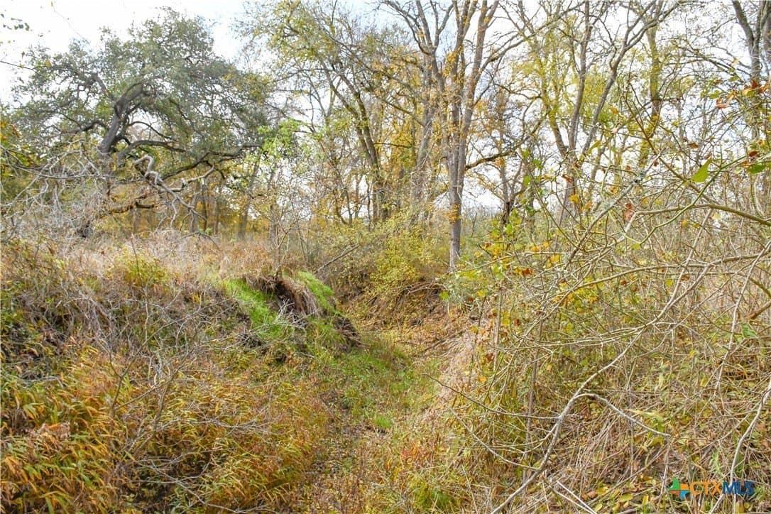 15.45 acres in Guadalupe County - photo 6