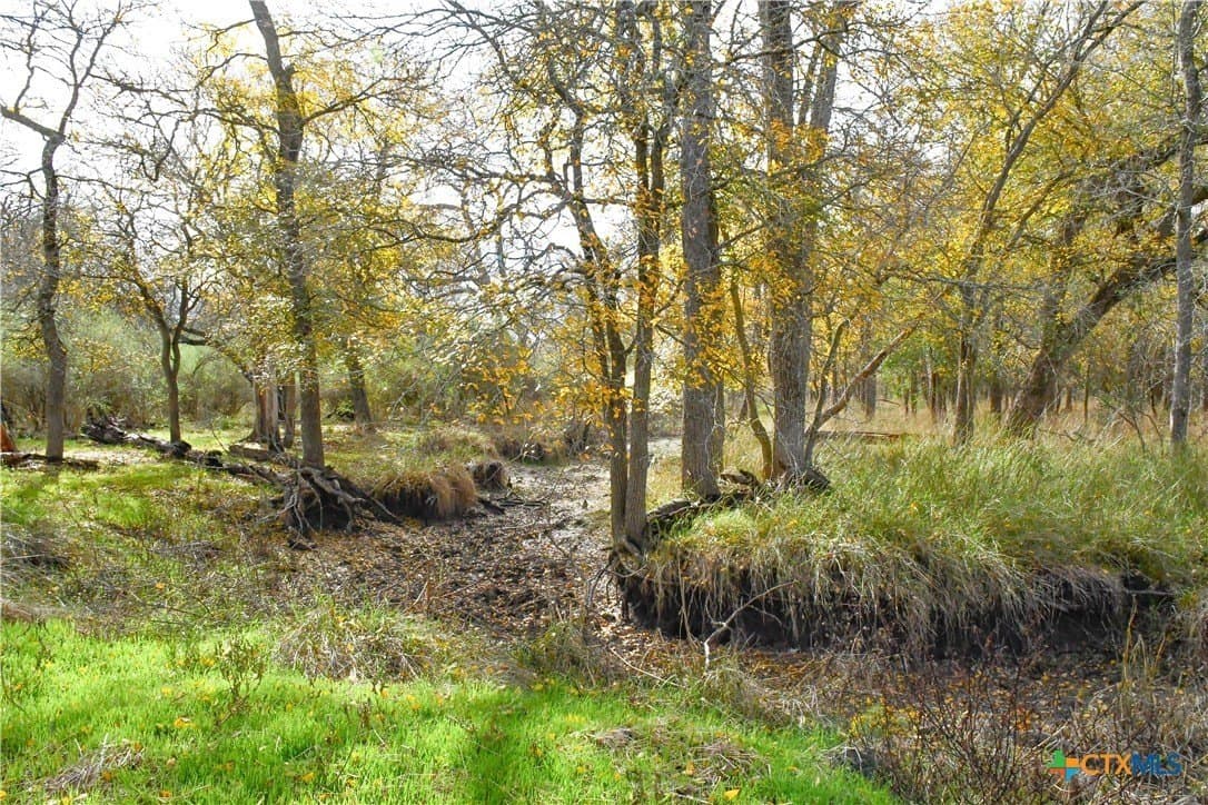 15.45 acres in Guadalupe County - photo 4
