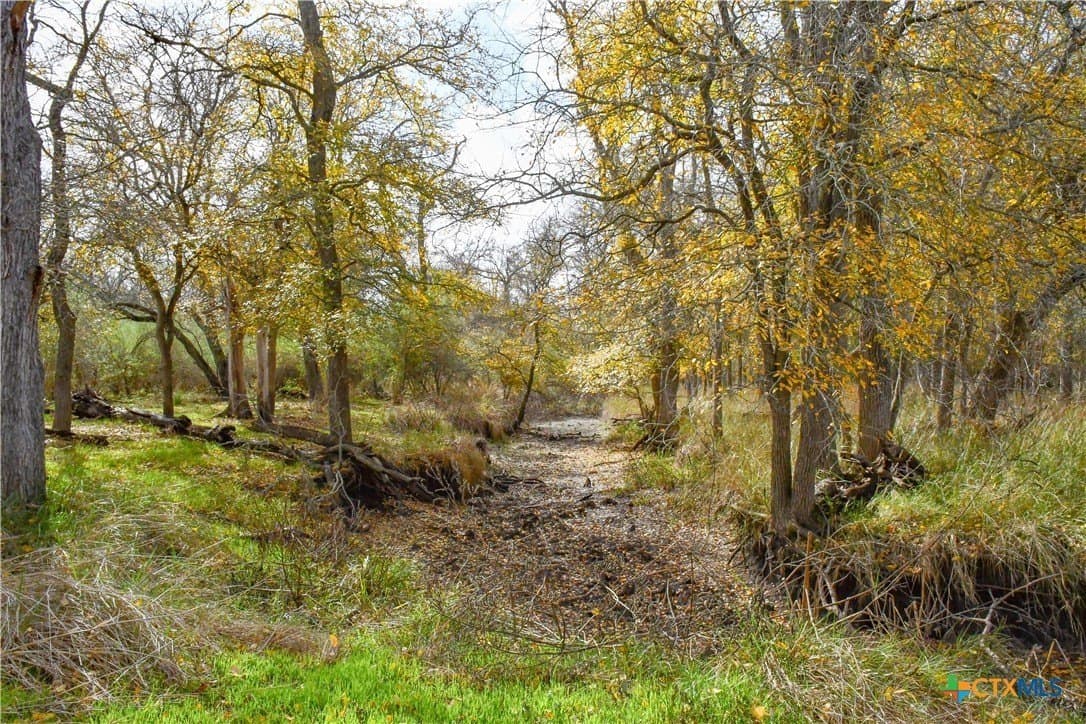 15.45 acres in Guadalupe County - photo 5