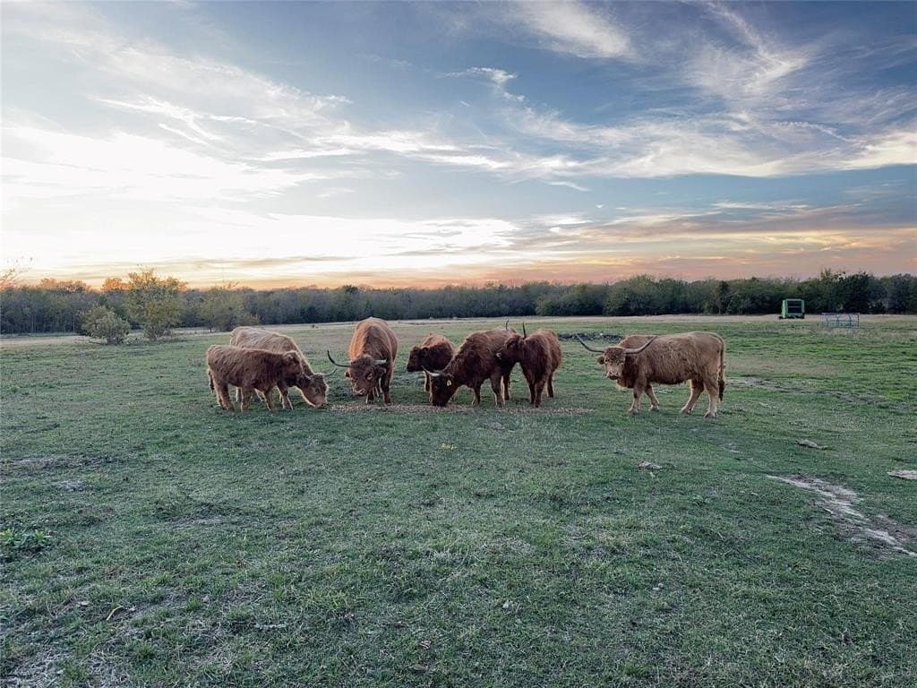 40 acres in Hunt County - photo 2