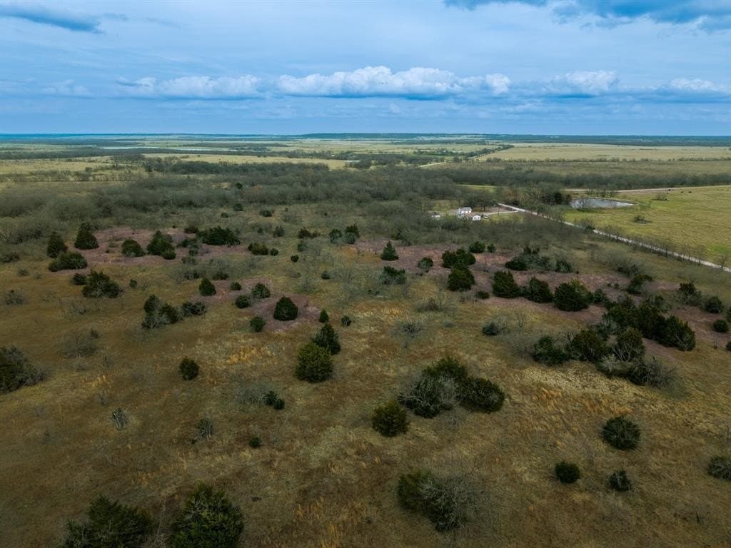 32 acres in Limestone County - photo 13