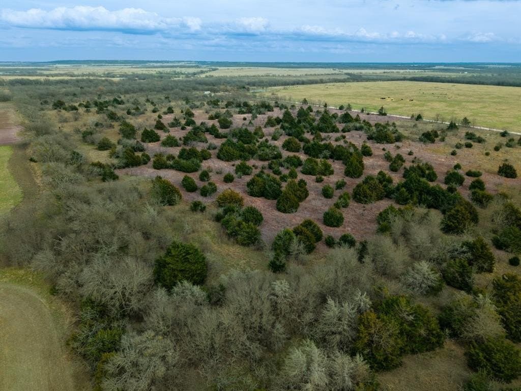 32 acres in Limestone County - photo 10