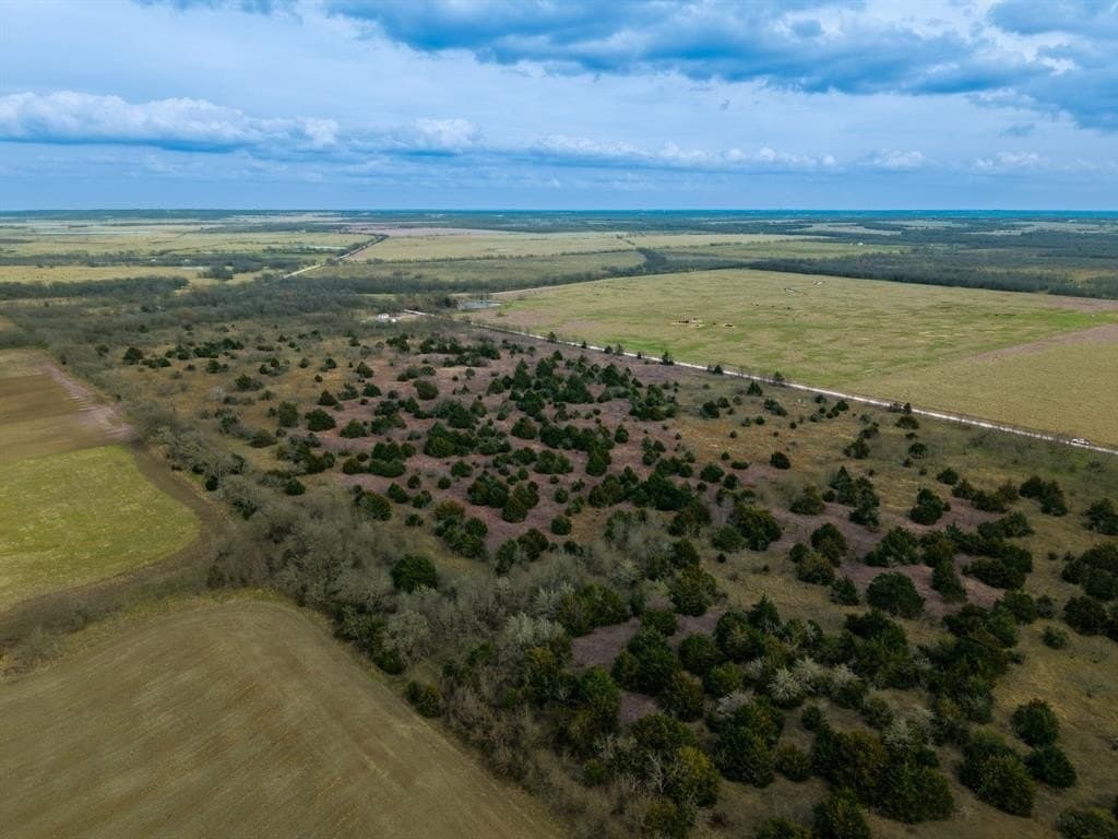 32 acres in Limestone County - photo 9