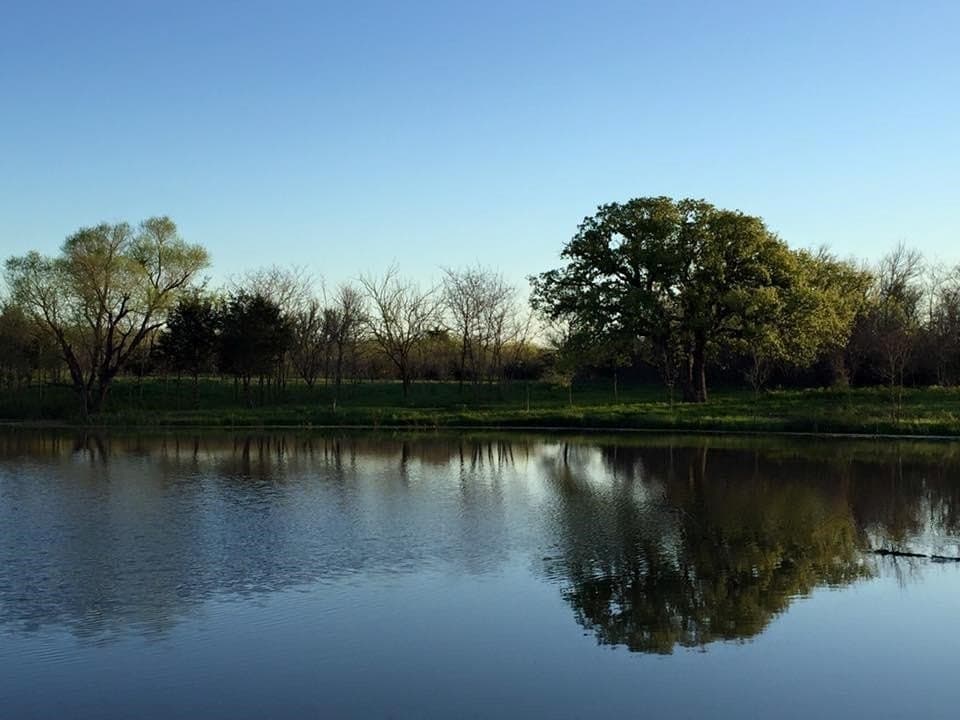 1.08 acres in Hunt County - photo 6