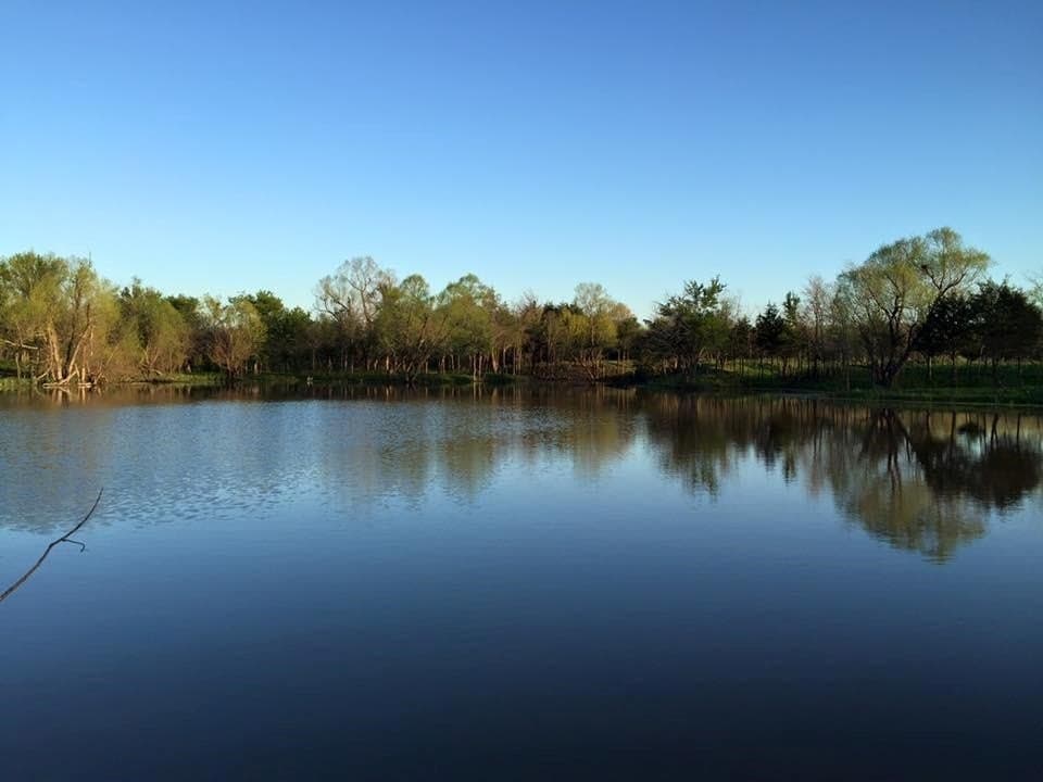 1.08 acres in Hunt County - photo 7
