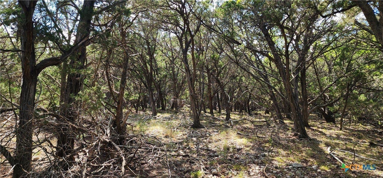 5.32 acres in Bandera County - photo 2