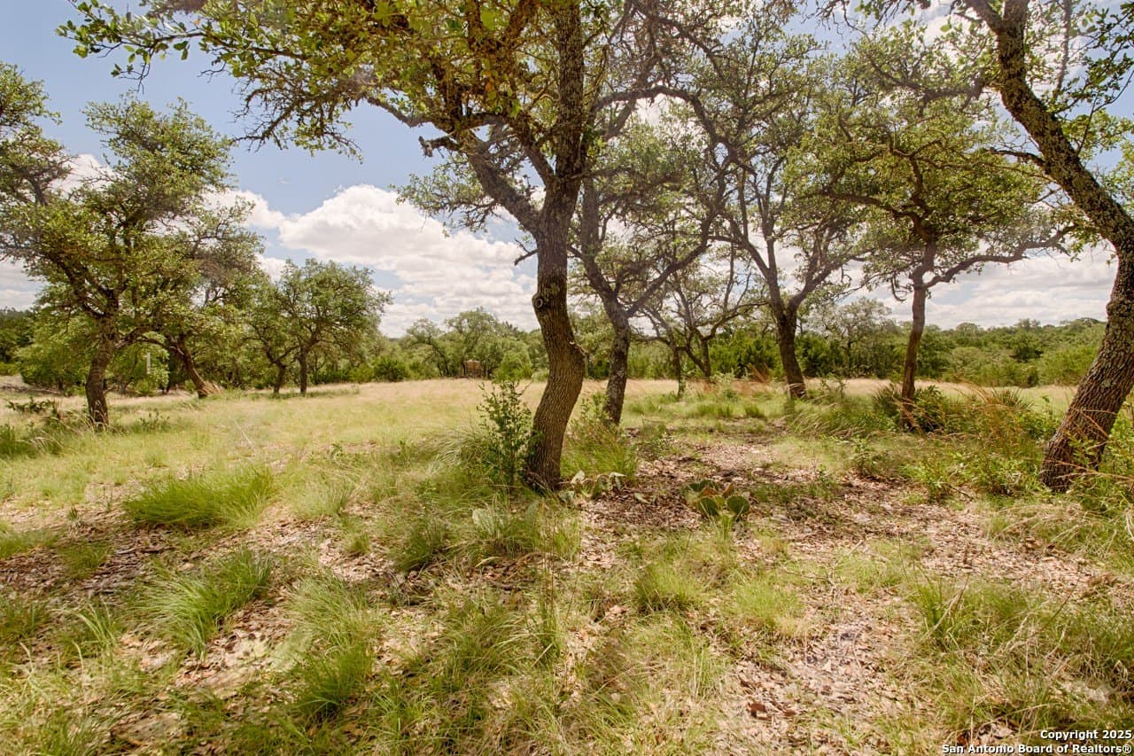 21.43 acres in Kimble County - photo 9