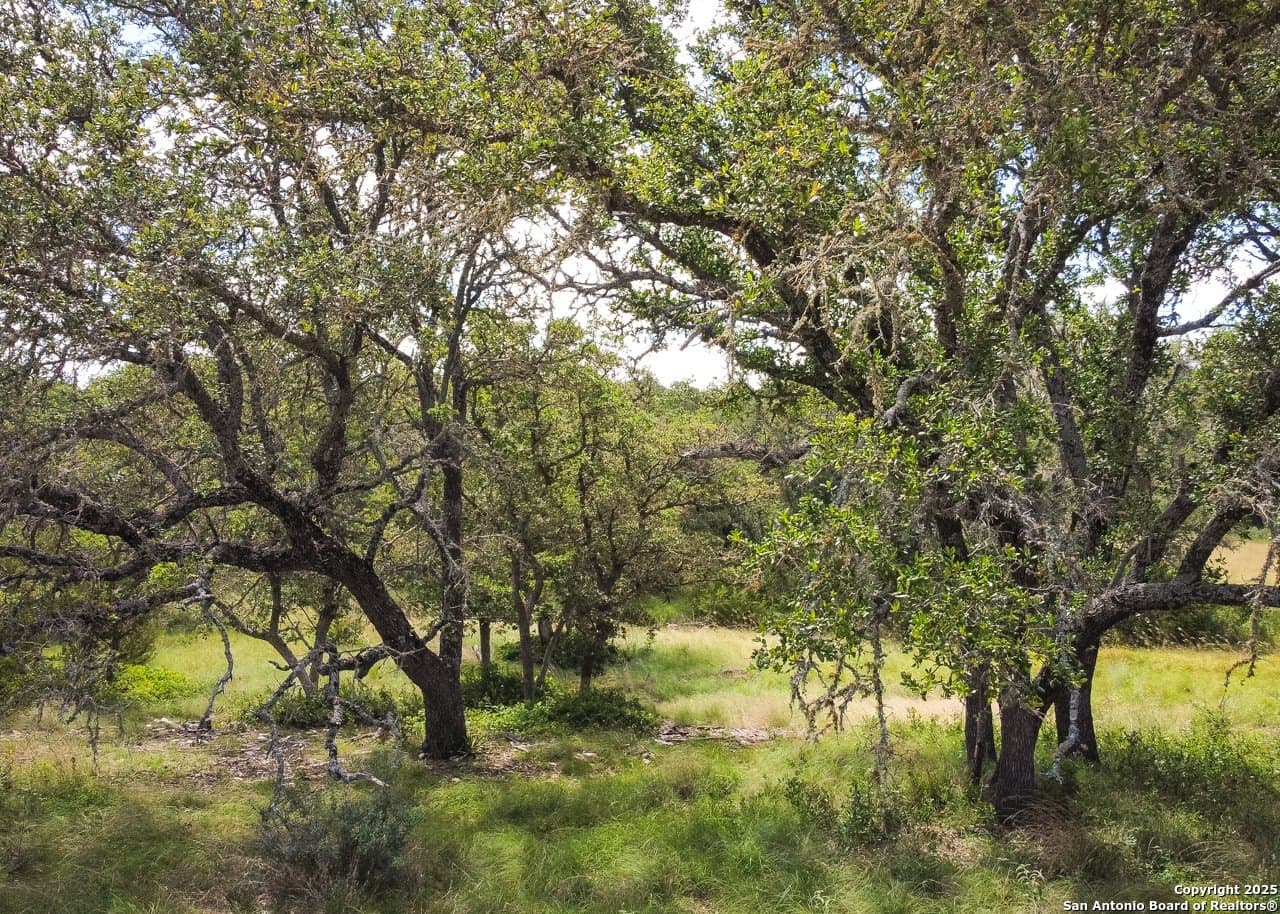 21.43 acres in Kimble County - photo 21