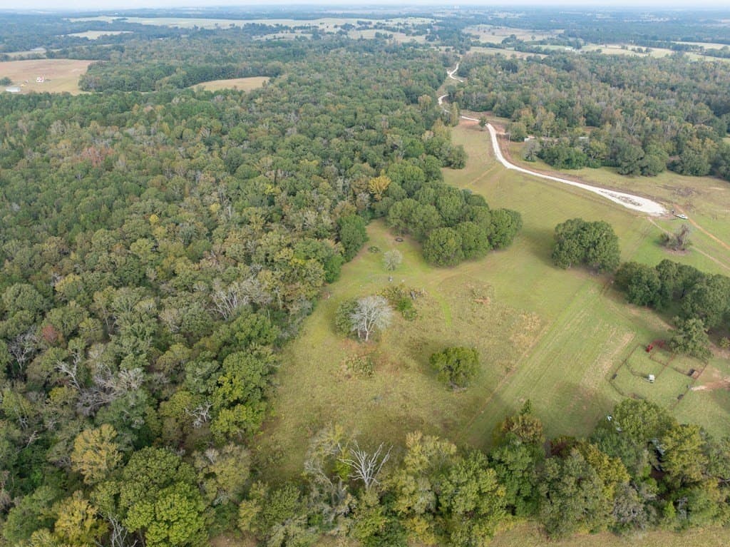 10.06 acres in LEON County - photo 18