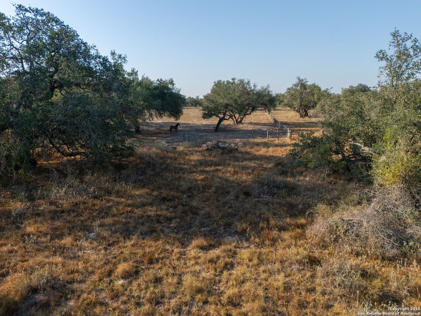 14.64 acres in Atascosa County - photo 43